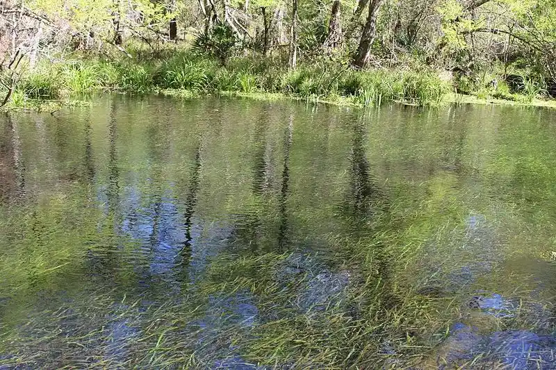 The Crystal Clear Waters