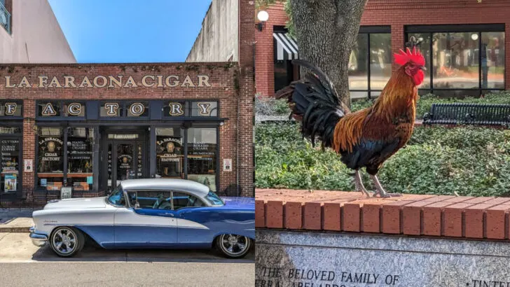 This historic Florida district is known for brick streets, free-roaming chickens, and deep local history
