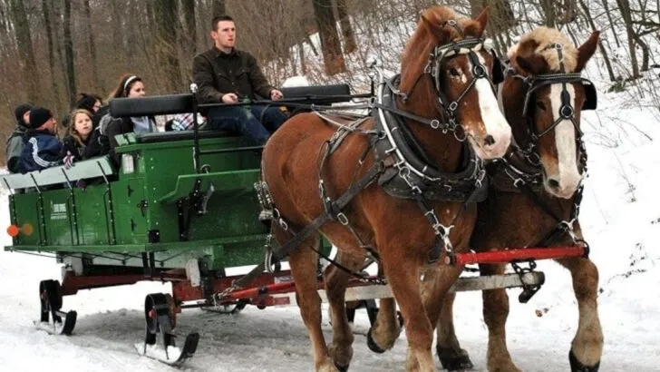 This horse-drawn winter ride captures everything people love about winter