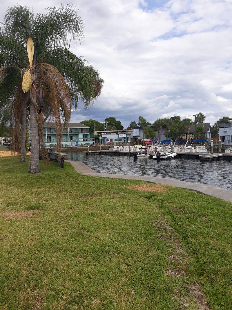 Kings Bay: Where the Water Stays Spring Fresh