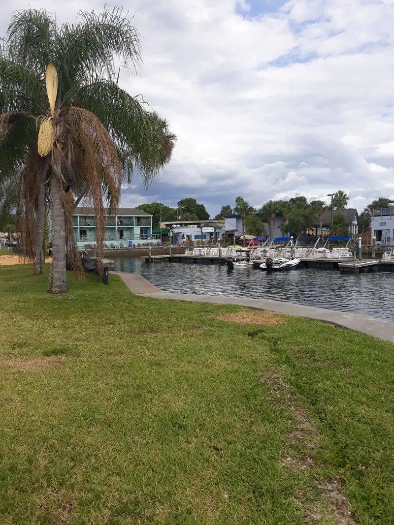 Kings Bay: Where the Water Stays Spring Fresh