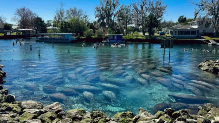 This laid-back Florida town is quietly becoming one of the South&rsquo;s favorite escapes