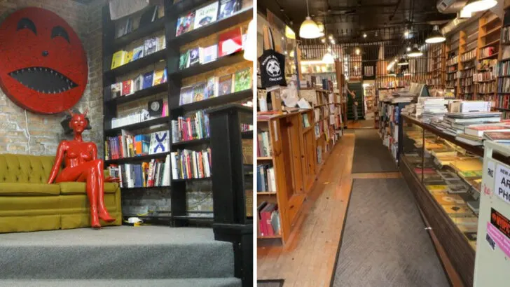 This low-key bookstore in Illinois surprises even seasoned book lovers