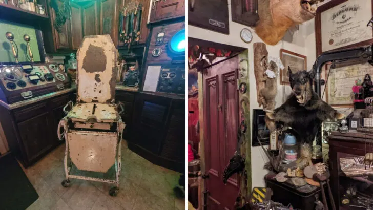 This macabre Pennsylvania museum embraces the strange and that&rsquo;s the point