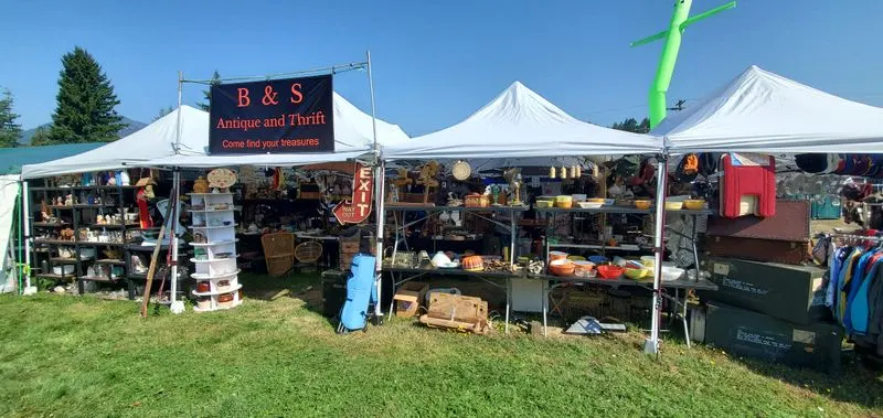 Navigating the town wide market