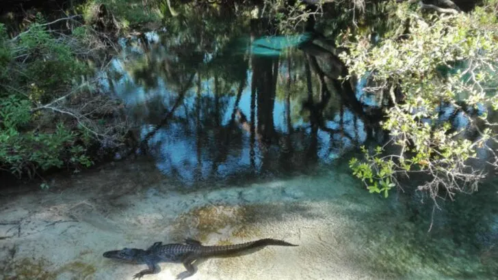 This otherworldly spring in Florida is still one of the state&rsquo;s quiet surprises