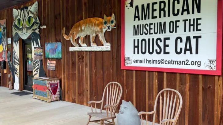 This quirky cat museum in North Carolina has to be seen to be believed
