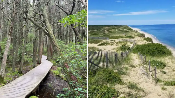 This relaxed 1.1-mile hike in Massachusetts delivers more than you’d expect