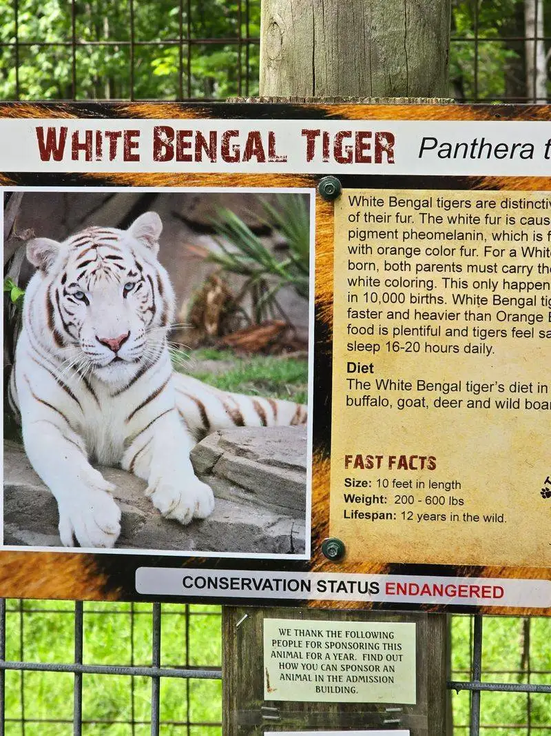 Caring for the Community