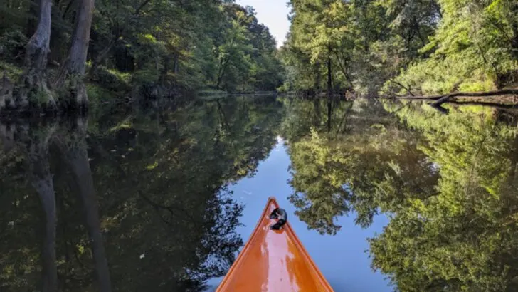 This scenic state park in Arkansas still feels like a place few people know about