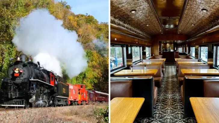 This scenic train ride in North Carolina offers some of the state&rsquo;s best views