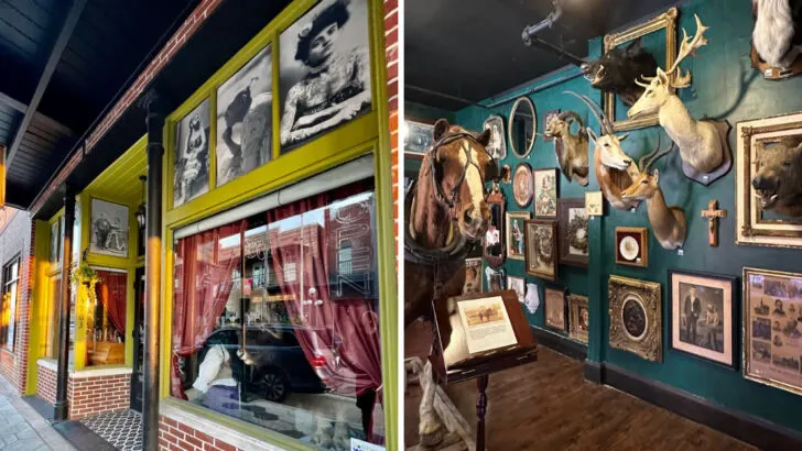 This tiny Florida shop hides a collection of creepy and fascinating finds