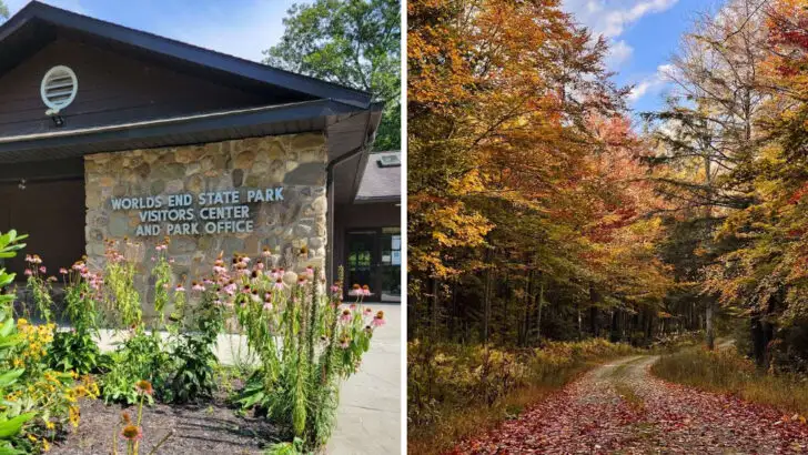 This underrated Pennsylvania state park doesn’t try to impress and somehow does anyway