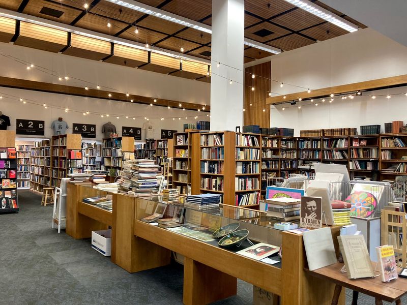 Essential first look: layout, vibe, and what to expect