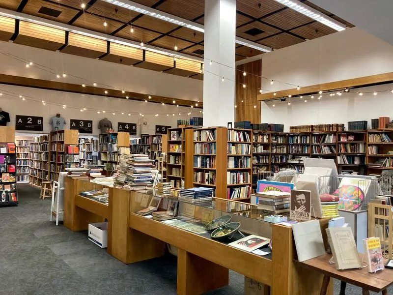 Essential first look: layout, vibe, and what to expect