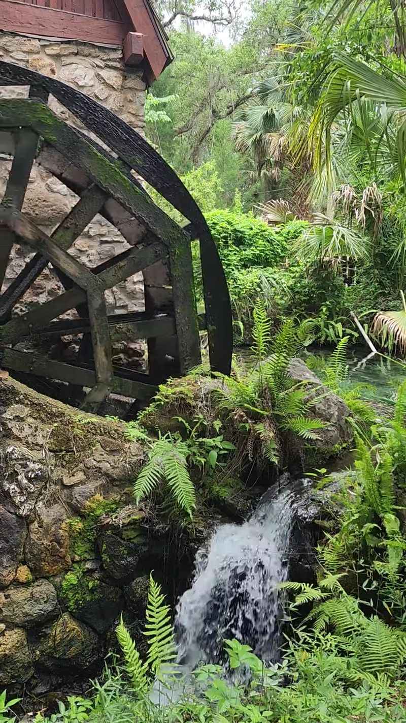 Juniper Springs Run Falls &mdash; Ocala National Forest
