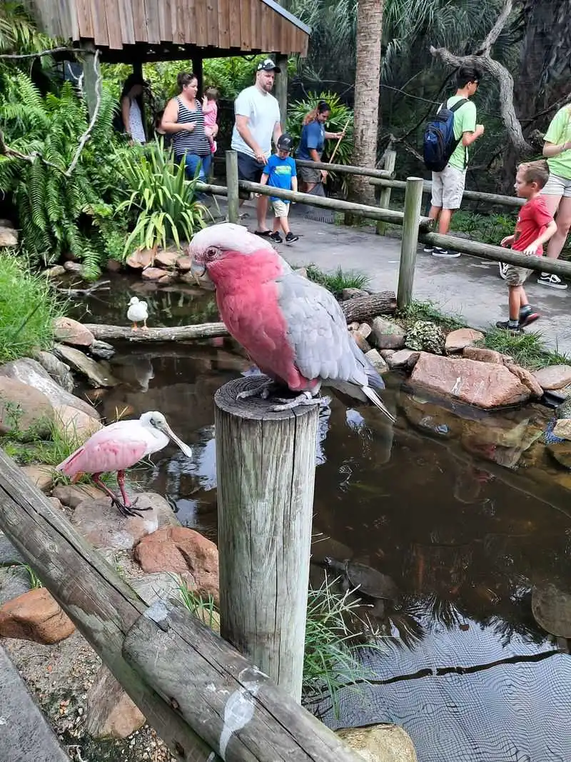 Conservation, Sustainability, and How You Can Help