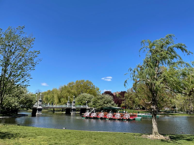 Scenery highlights on the lagoon loop