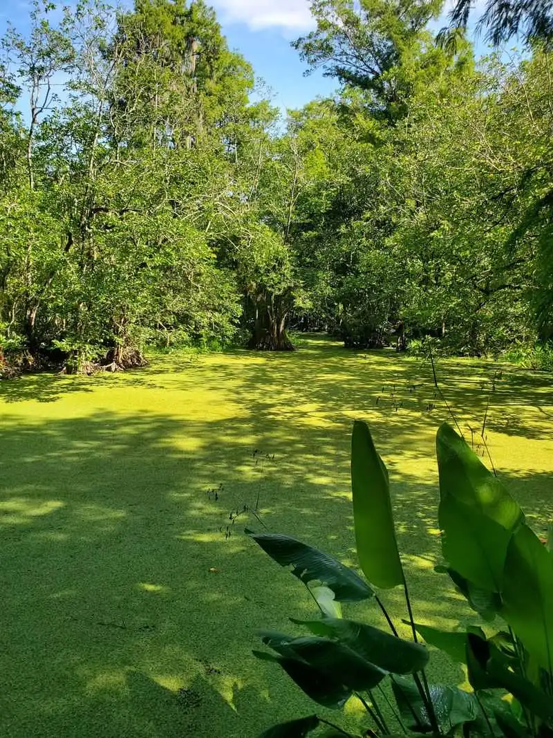 Etiquette and Safety on the Boards