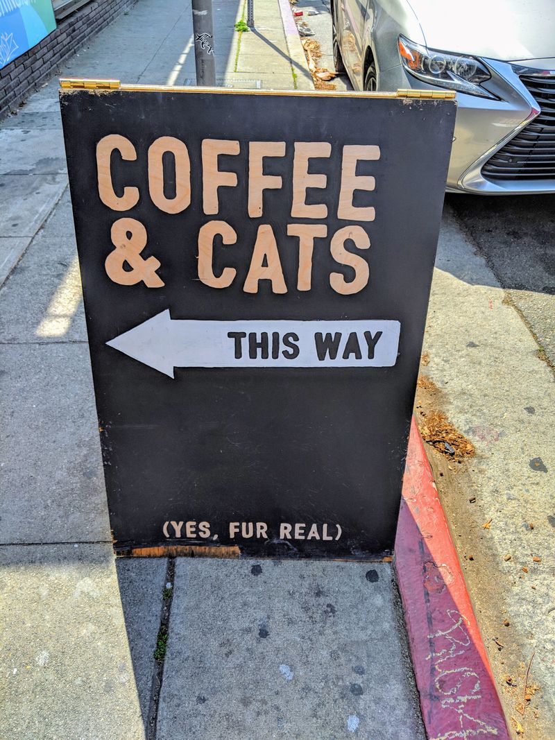 Plan Like a Pro: Parking, Pricing, and Polaroids