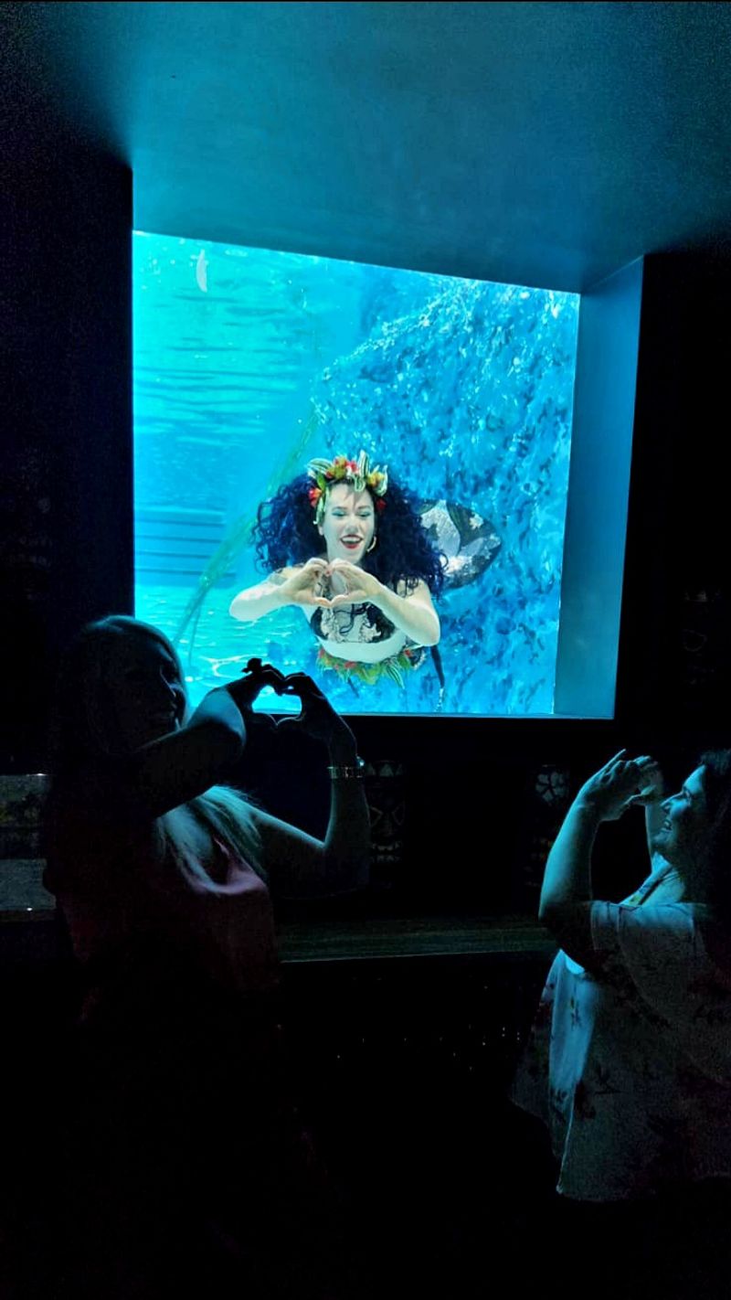 Is it worth it and who will love it