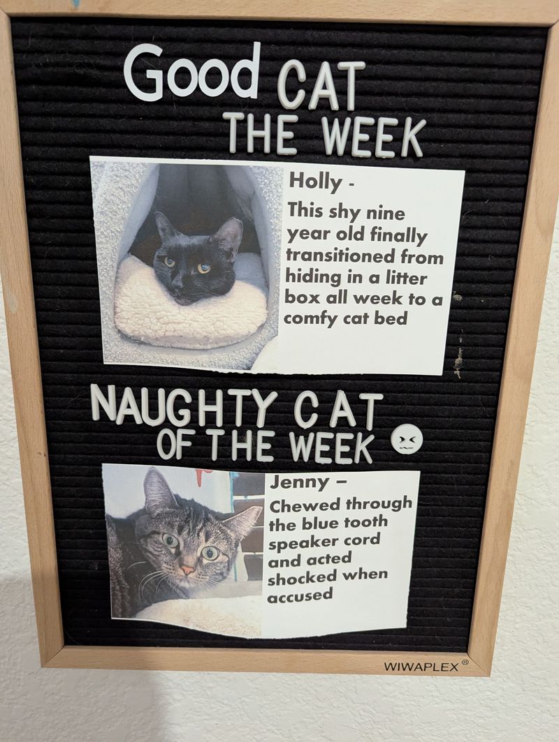 Events and playful extras