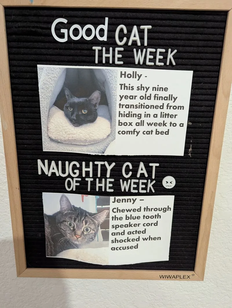 Events and playful extras