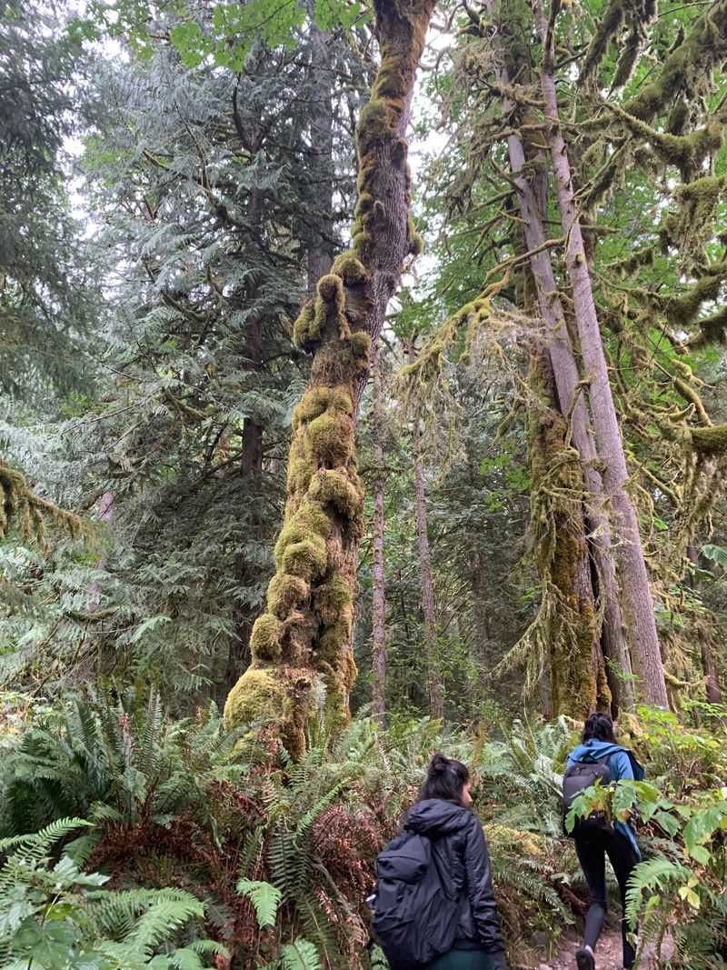 Nearby hikes and add on options