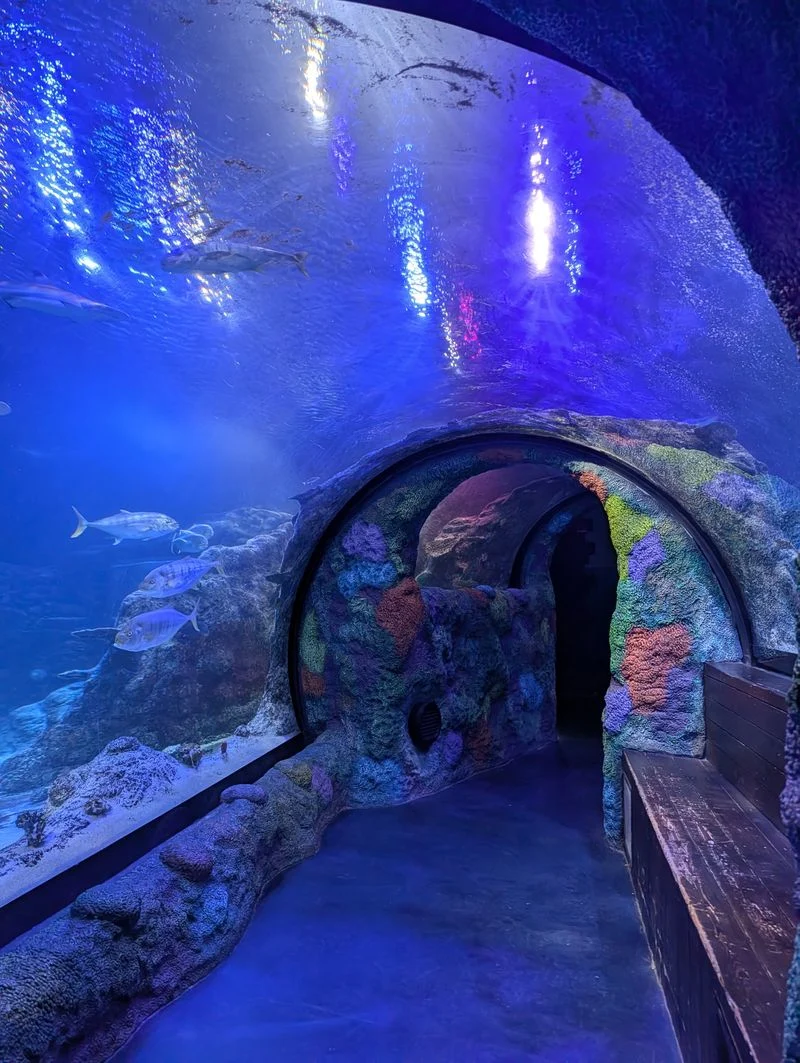 Underwater Tunnel Experience