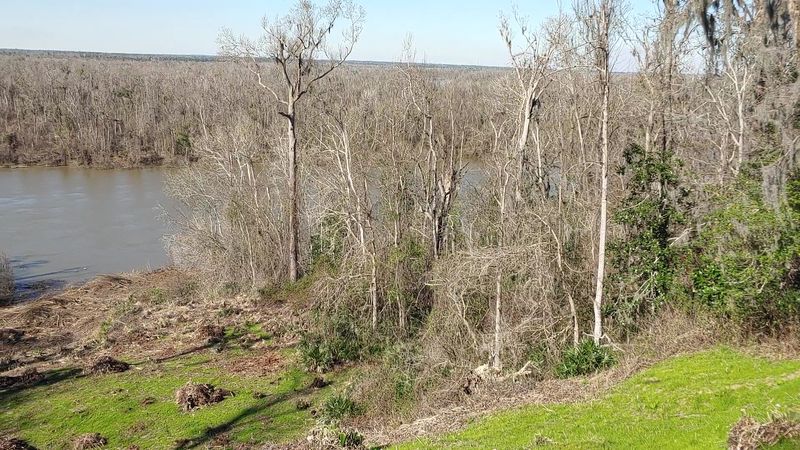 Enchanting Birdwatching Haven