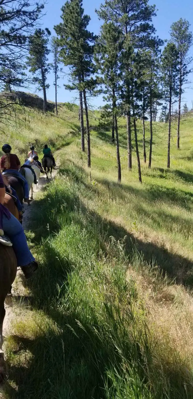 Seasonal Tips and Weather