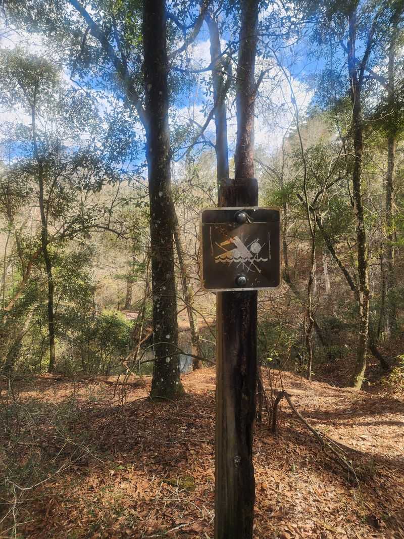 Safety and Preparation