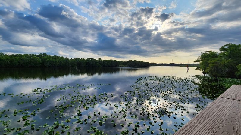 Boardwalk Photography Opportunities
