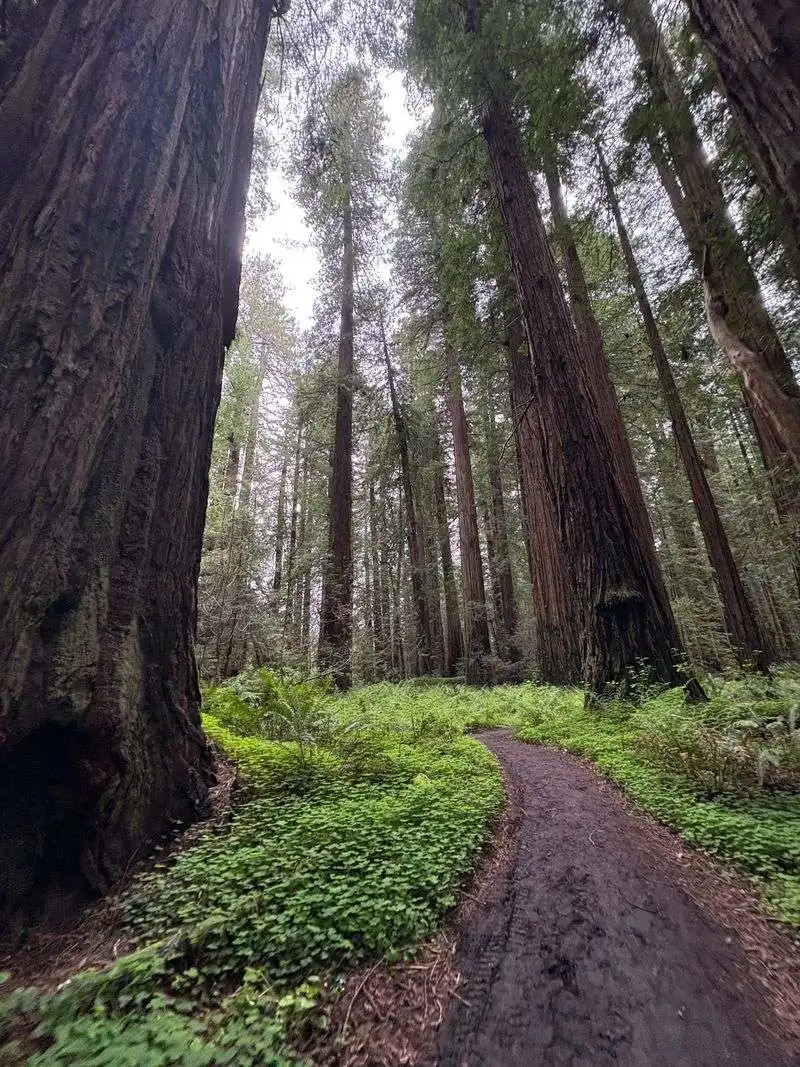 Best times to go and light for photos