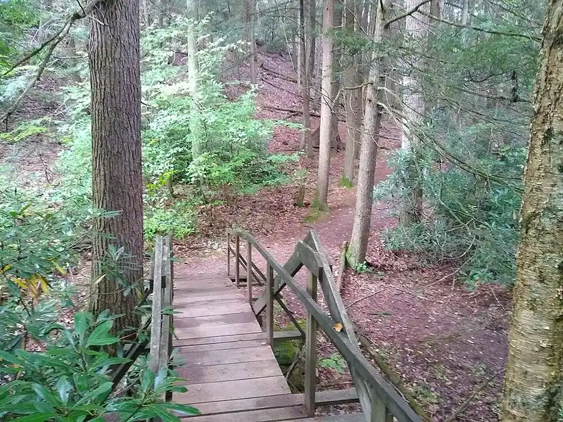 Mossy Stone Footbridge