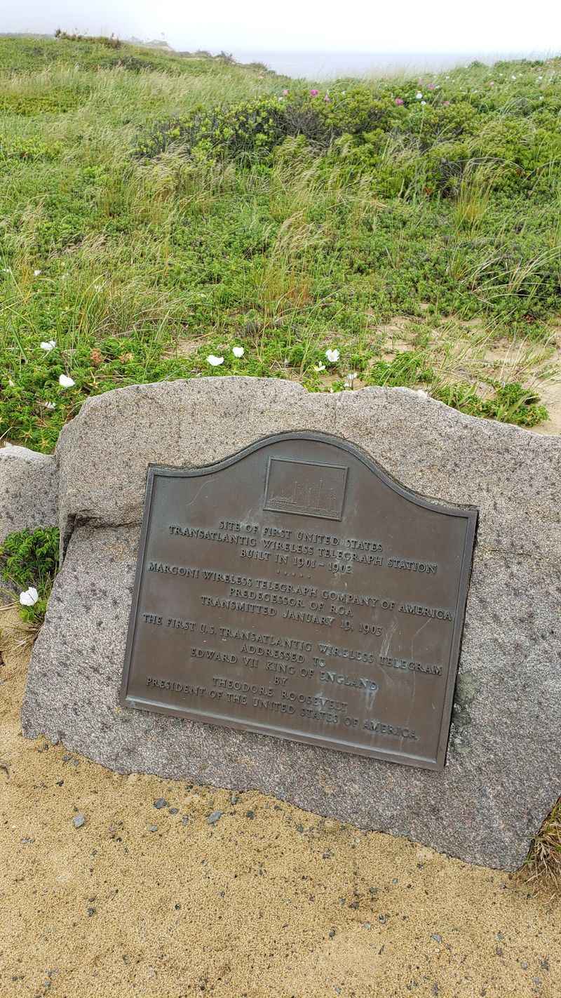 Woodland Textures And Stonework