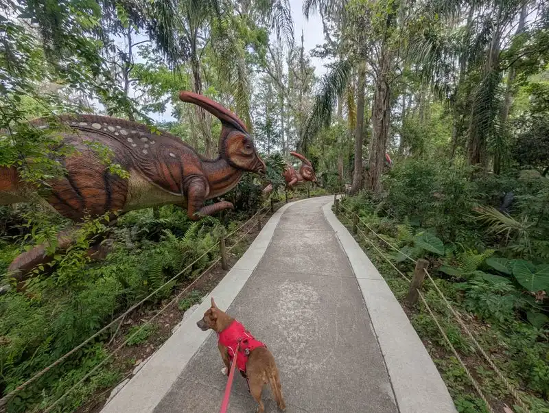 Dog Friendly Details And Accessibility