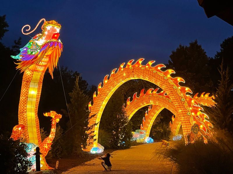 GloWild and Seasonal Night Events
