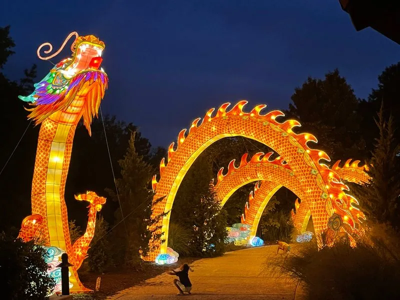 GloWild and Seasonal Night Events