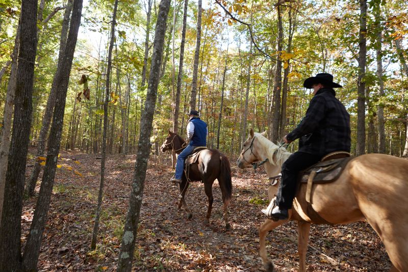 Horseback Riding and Biking Opportunities