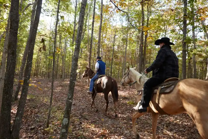 Horseback Riding and Biking Opportunities