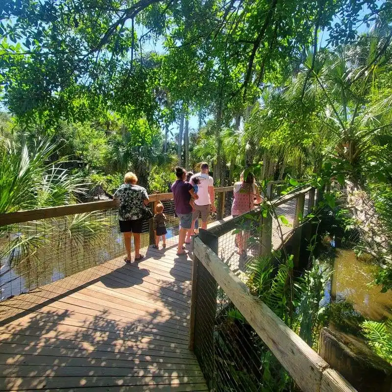 Wild Florida: Native Habitats and Conservation