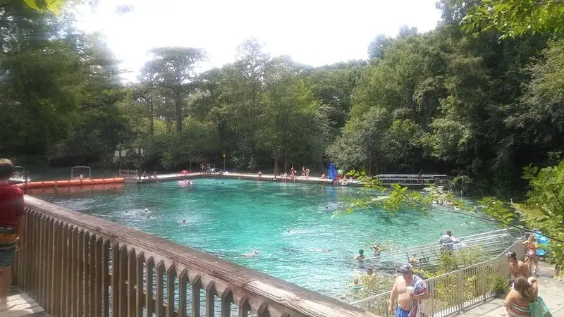 Fanning Springs: Oasis by the River