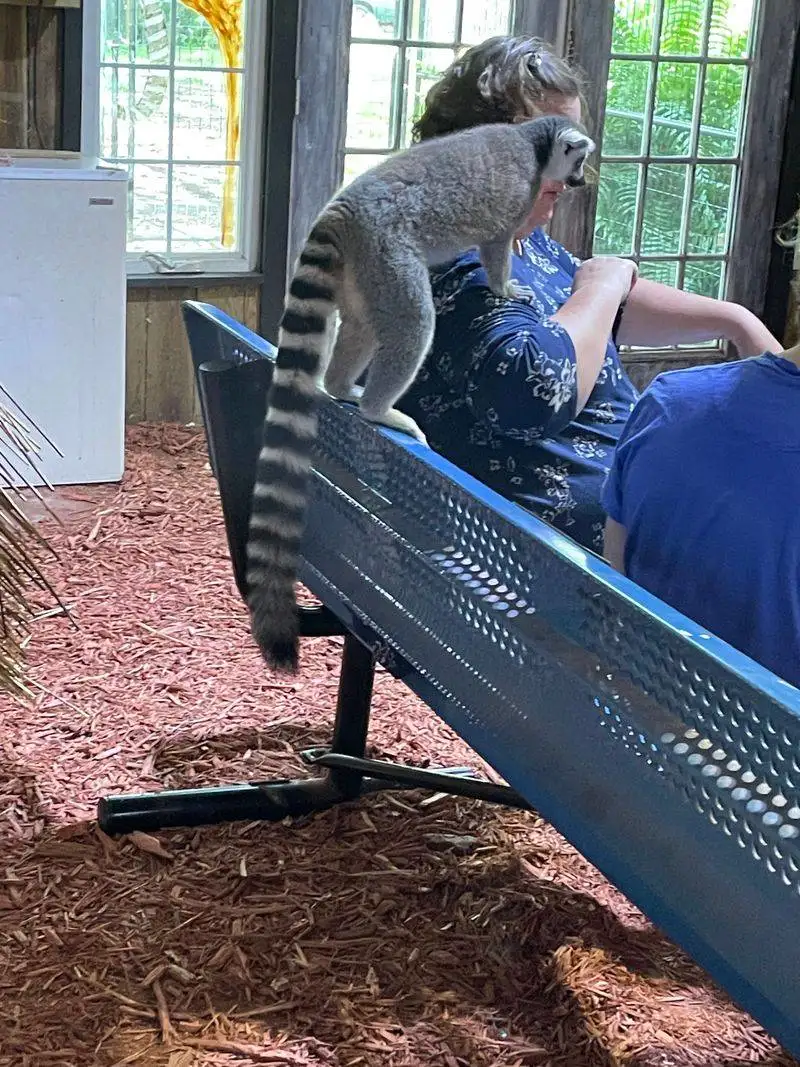 Overview and Why This Sanctuary Stands Out