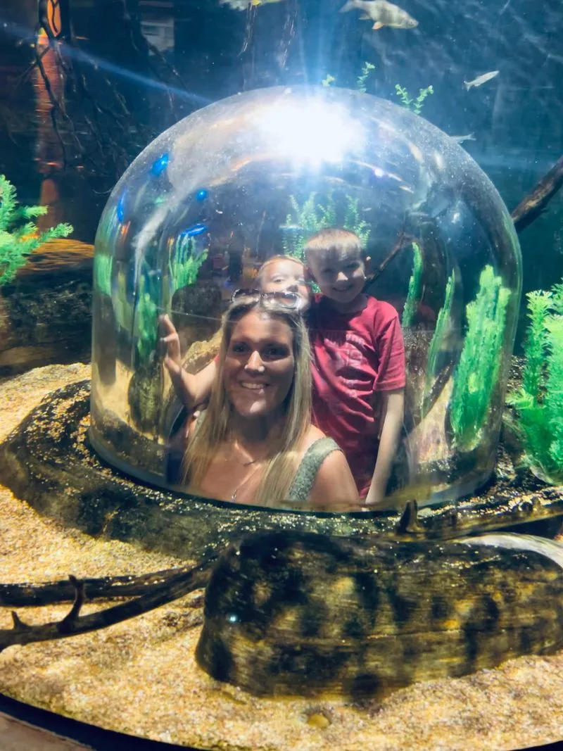 Behind the Scenes Tour