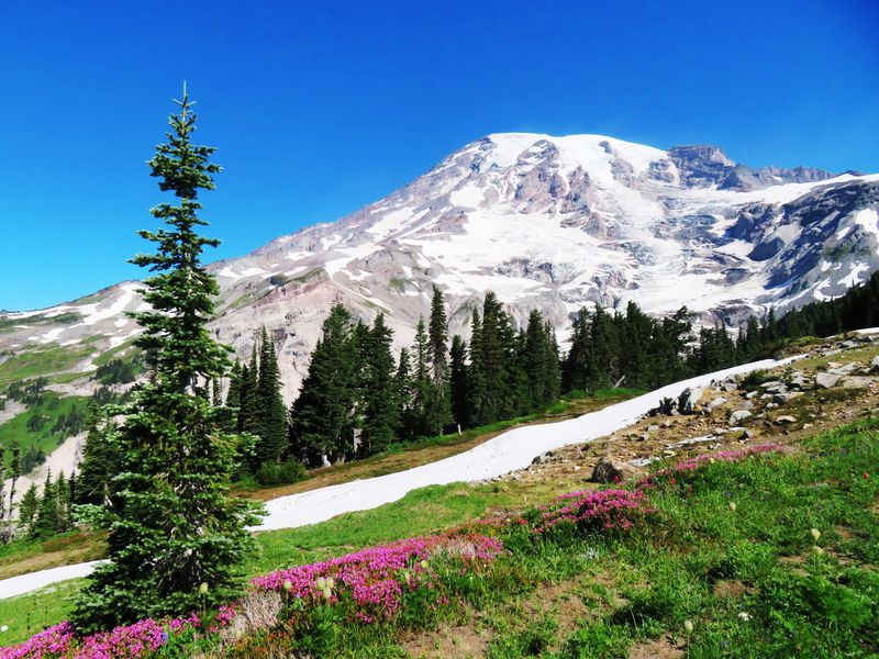 Washington &ndash; Ohanapecosh Trails (Mount Rainier National Park)