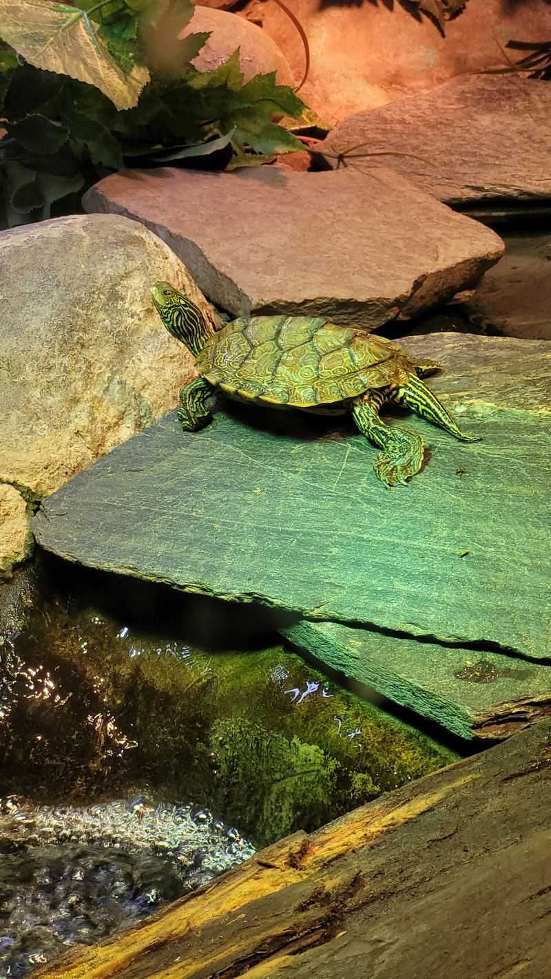 Vermont – ECHO Leahy Center for Lake Champlain – Burlington