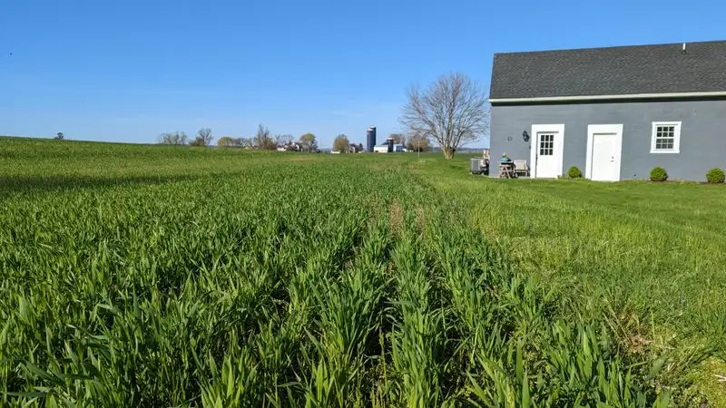 IX. Agricultural Roots and Farm-to-Table Living