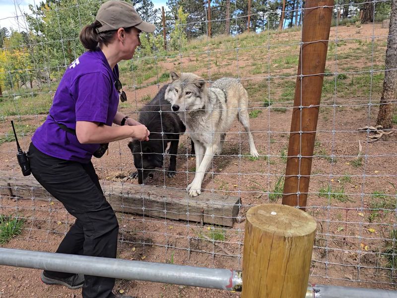 Guided Educational Tour: conservation with teeth