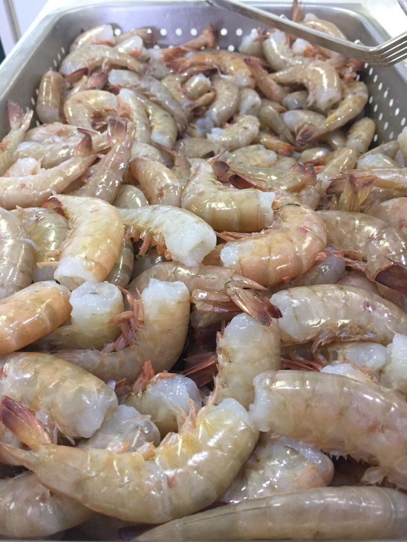 Gulf Shores and Orange Beach, Alabama